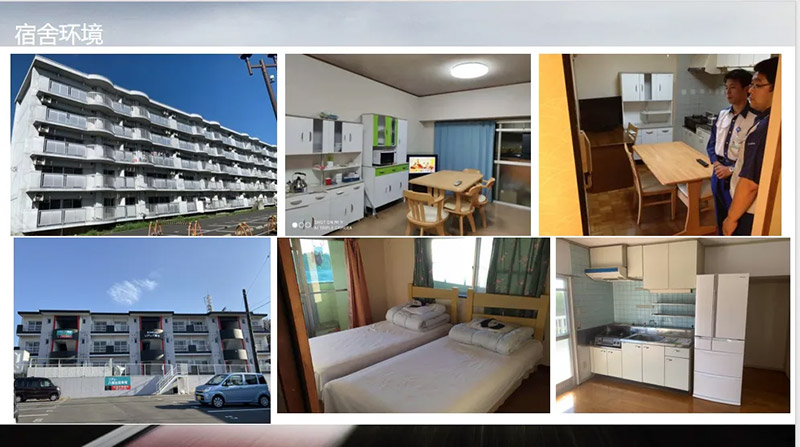 山东万通:搭建国际桥梁,赋能学子海外逐梦